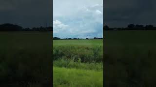 Flagler area farmland #florida