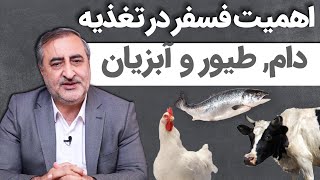 اهمیت فسفر در تغذیه دام, طیور و آبزیان