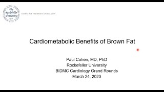 Cardio-metabolic Benefits of Brown Fat by Dr. Paul Cohen