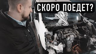 ВОССТАНАВЛИВАЕМ PEUGEOT PARTNER. ЛЕЧИМ КОТА. ЗАКУПАЕМСЯ В АВТОДОК