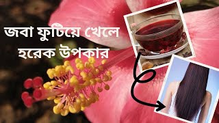 জবার🌺এই আশ্চর্য গুনগুলো আপনি জানেন? এখুনি জেনে নিন🌿 Chinese hibiscus health benefits