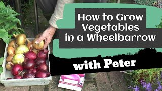 How to Grow Vegetables in a Wheelbarrow | Garden Ideas