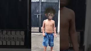 baby monkey rain dance 🐵🌧⛈😂😅🤣dj maro vage ne boom padi jay 🐵🕺🤣😅😂 #monkey #funny #dance #aaryavnaagar