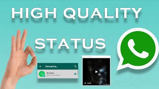 Create High Quality WHATSAPP Status on Laptop!!![EASY]