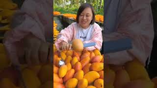 مين هنا بيحب المانجو #mango #planting #farming #amazing #shorts #shortsvideo #video #viralvideo #fyp