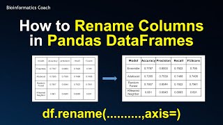 How to Rename Columns in Pandas Dataframes