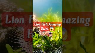 5 Amazing Facts About Lion Fish 🐠#shorts #ytshort #amazingfacts #neet