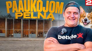 ROLANDAS: Paaukojom visą pelną (2 dalis)