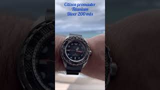 Citizen Promaster Titanium