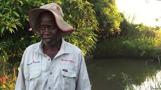 Bouwas Mawara: water-harvesting farmer in Mazvihwa, Zimbabwe