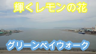 ちょっと一息❕　生命輝くレモンの木＆アイランドシティ中央公園　Shining　Lemon tree