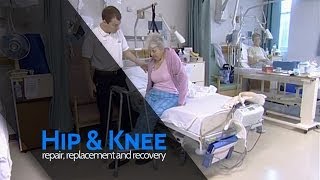 Physiotherapy: Rapid Recovery Hip Replacement