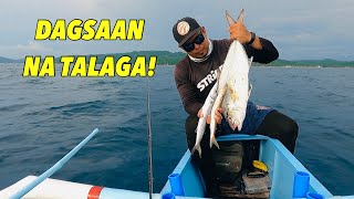 Season ng Amberjack? Padami na sila Spot