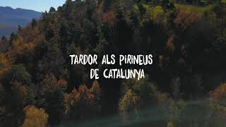 Tardor als Pirineus de Catalunya