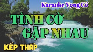 Karaoke Tình Cờ Gặp Nhau - Dây Kép Thấp