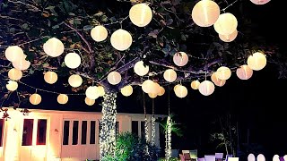 Chinese Lanterns Decoration Ideas In A Tree For A Wedding Reception