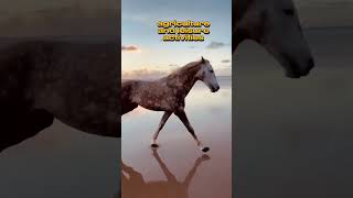 ❤️The Horsees Magnificent Creatures... #shortvideos #trending #viral #beauty #subhanallah #videos