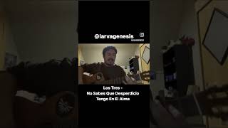 Los Tres - No Sabes Que Desperdicio Tengo En El Alma #cover #musica #guitarra #lostres #larvagenesis