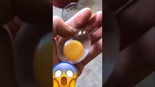 Egg Coca-Cola real or fake science fact chart video yes experiment