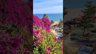 🇪🇦 Torremolinos, Spain #costadelsol #mediterraneansea #torremolinos #andalucia #spain #flowers