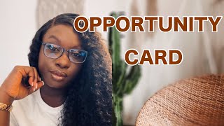 Opportunity Card in Germany +  How to move to Germany without a Job offer #germany