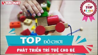 Top đồ chơi phát triển trí tuệ cho bé