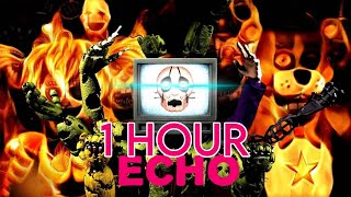 Echo Remix by SilentWall [1 HOUR]