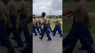 USMC Graduation #shorts #usmcveteran #military #usmilitary #usmc #marine #marinecorp #graduation