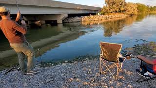 Carp Session at Niagara Area