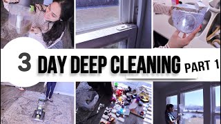 NEW Extreme Deep Clean With Me | Real + Raw Speed cleaning, Hours of cleaning Motivation 2024