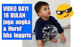 Bayi 18 bulan jago angka & huruf bhs Inggris