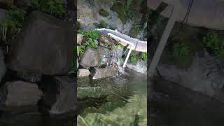 waterfall#artificial#small#aquarium #aquariumfish