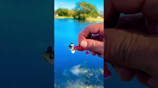 Fishing is beautiful ❤️ spin fishing #fish #fishingmylife #nature #fishermanlife #hobby