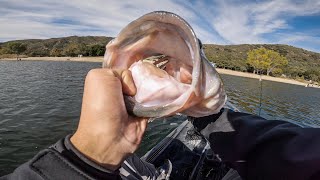 Silverwood lake finally gave up a "MONSTER" Bass