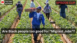 Apparently DL Hughley thinks that Black people are above “Migrant Jobs”