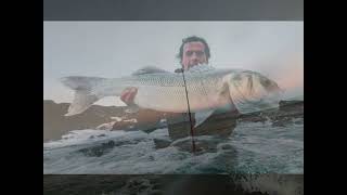 Spinning Robalo de 3 500 Kg