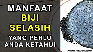 Manfaat Biji Selasih | Khasiat Biji Selasih Untuk Kesehatan Dan Kecantikan Yang Perlu Anda Ketahui