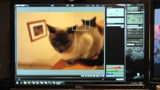 Canon EOS Utility Performance Test