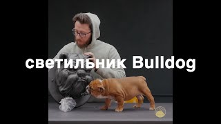 Cветильник Bulldog on guard