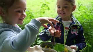 La sensibilisation du grand public par la mise en œuvre d’un Plan Local d'Education à la Nature