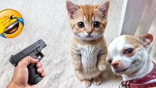 Funniest Dogs And Cats Videos 2024😸You Laugh You Lose🐶