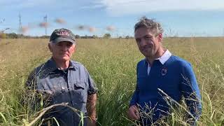 French Switchgrass Expert Inspects a New First Year Seeding of RC Big Rock