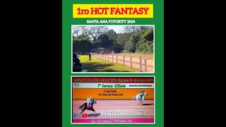 1ro HOT FANTASY (1/6/24)