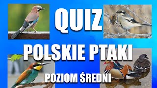 Ptaki Polski - Quiz, rozpoznawanie ptaków, poziom średni 1