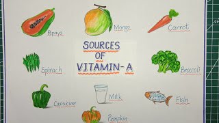 Sources of vitamin A drawing / How to draw sources of vitamin A