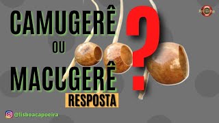 Camugerê ou Macugerê? Resposta