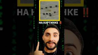 Пройди тест 😱 Сколько осликов !? #иллюзия #задача #тест #шортсы