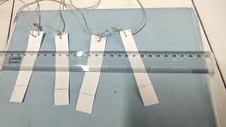 Paper chromatography of amino acids