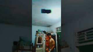 triceps, biceps,and back day 50/63 menuju lebaran badan ideal workout #sixpack #shorts #shortvideo