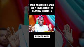 Igbo Groups in Lagos Deny Involvement in Planned Protests  #news #naijanews #protest  #nigeria